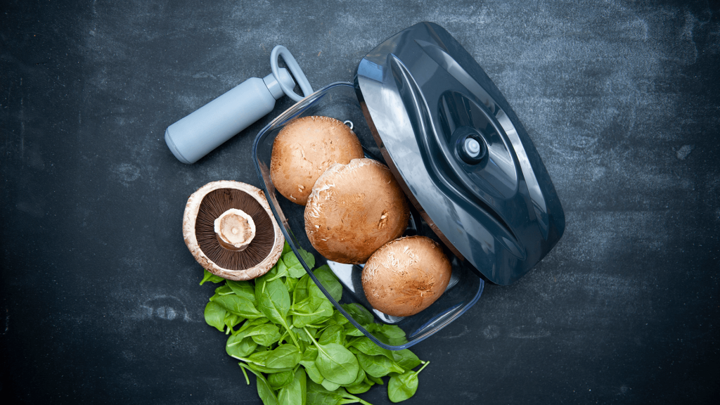 Pojemnik próżniowy SeeYoo – najlepsza ochrona przed bakteriami, wilgocią i molami!