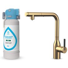 System filtrujący Dafi FLOW COMFORT DC10 + bateria trójdrożna SKANDI złoto szczotkowane